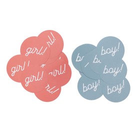 Pink and Blue Gender Reveal Stickers, Gender Reveal Party Supplies Decorations, Boy and Girl, Baby Pink, Baby Blue, Baby Shower Announcement Game, Party Favors (Blue & Pink)