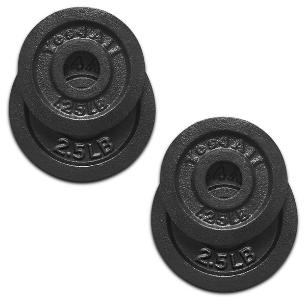 Yes4All Standard 1.15-inch Cast Iron Weight Plates - 1.25 + 2.5lbs (Set of 4)