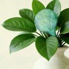 Plant Self Watering Globes, Colorful Glass Plant Watering Device Outdoor