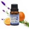 Brain Active Blend Essential Oil Night Use, 0.3 fl oz