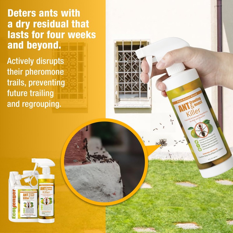 EcoRaider Ant & Crawling Insect Killer (34 OZ), 100% Fast