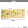 TERF® Heavy Duty Polished Brass Counter Flap Hinges 100mm X