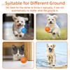 Dog Toy Ball, 2-Pack Durable Smart Bouncing Chew Balls for