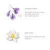 RITUALS The Ritual of Namasté Ageless Collection Anti-Ageing Facial Oil