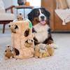 Outward Hound Hide-A-Squirrel Dog Toy – Interactive 2‑in‑1 Plush Puzzle