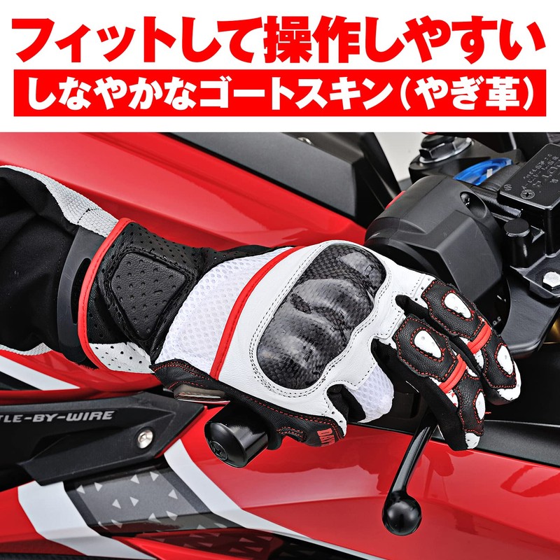 Daytona HBG-053 Motorcycle Gloves, Goatskin, Punched Mesh, Carbon Protector, Touch