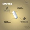 Digelax NutriNova Probióticos y Prebióticos con Enzimas Digestivas Cápsulas