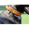 DINGO GEAR Drago Leather Dog Collar, Amortized with Strong Wide