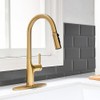 Brushed Gold Kitchen Faucet, Single Handle Gold Kitchen Sink Faucet