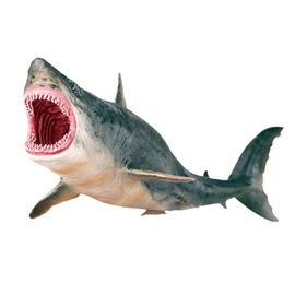 Shark Ornaments Vivid Plastic Engraving Painting Process Decorative Educational Interesting Ocean Animal Toy