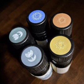 Mr Steam ❤️New Mr Steam MS CHAKRA 5 Aroma Therapy Oil Kit