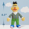 Sesame Street Friends Bert and Ernie 8-inch 2-piece Sustainable Plush