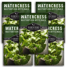 5 Packs Watercress Seed for Planting - Packet with Instructions to Grow Nasturtium officinale in Your Home Vegetable Garden - Non-GMO Heirloom Variety - Survival Garden Seeds