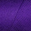 Bulk Buy: Caron Simply Soft Yarn Solids (2-Pack) (Iris)