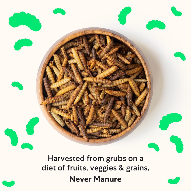 Grubblies - Black Soldier Fly Larvae for Chickens - Chicken