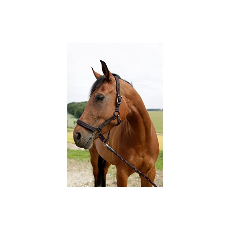 Horse Headcollar for Goleygo System Black/Fuchsia Foal