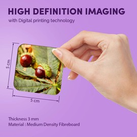 1 x Square MDF Fridge Magnet - Conker Horse Chestnut Tree 2137