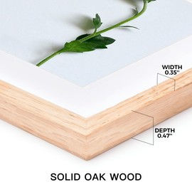 Atryinous 12x16 Frame Set of 2, Solid Oak Wood 12 x 16 Picture Frames with Plexiglass Display Poster 8.5x11 with mat or 12x16 without mat, Wall Hanging Collage frame Wall Decor