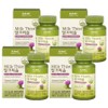 GNCHERBALPLUS Milk Thistle, 60 tablets, 4 pcs / GNCHERBALPLUS 밀크씨슬, 60정, 4개