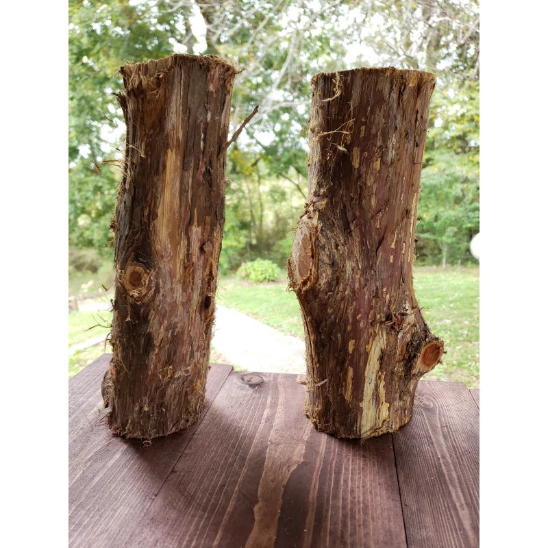 Cedar Grove 2 Eastern Red Cedar Logs Wood Blanks Crafts