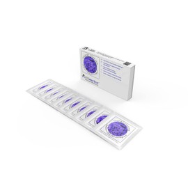 Yogurt Starter Cultures - Freeze-Dried Culture Sachets for Balkan Style Plain Yogurt (Pack of 10 sachets)