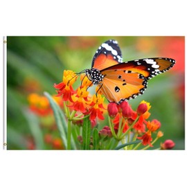 Pickako Butterfly Insects in On Orange Floral Flowers Spring Summer Natural Seasonal 3x5 Foot Flag, Double Stitched 3 x 5 Ft Flags with Brass Grommets for Home House Outdoor Indoor Decor
