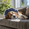 Collar for Cats and Dogs, Adjustable Collar, Soft Cone Recovery