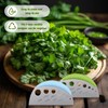2 Pack Stainless Steel Herb Stripper, 7 Holes Leaf Remover