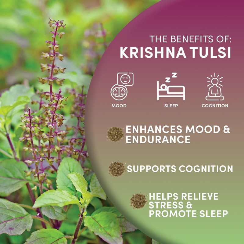 Worldwide Botanicals Organic Holy Basil Tea, 8oz - Tulsi Krishna