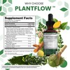 Clean Nutra Plantflow Moringa Drops with Ashwagandha Turmeric Ginger Spirulina
