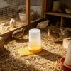 2 Pack Quail Waterer with Yellow Tray, 500ml Large Capacity