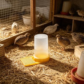 2 Pack Quail Waterer with Yellow Tray, 500ml Large Capacity Automatic