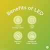 GE LED+ Color Changing LED Light Bulbs with Remote, No