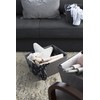 Bigso Box of Sweden Foldable Storage Box for Home and