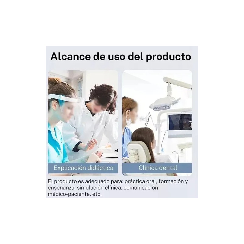 Tipodonto Tipo Nissiin Encía Suave Dientes