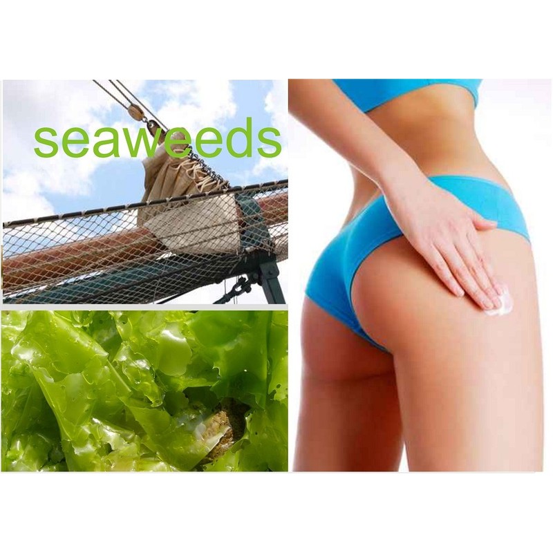 Start Silhouette Algae & Coffee ANTICELL Cellulite Cream – Professional Product 200ml