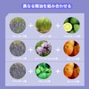 Jiutrees ラベンダー エッセンシャルオイル 10ml 天然100％ 精油 アロマオイル アロマ アロマディフューザー 加湿器用