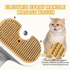 Cat Pet Steam Brush – 3-in-1 Spray & Massage Comb