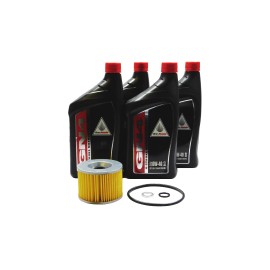 Honda 1976-1979 Honda Goldwing 1000 GL1000 GL1000LTD Limited OEM Oil Change Kit H49