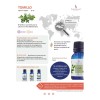Benessi Home Interiors Tomillo Aceite Esencial Benessi Aromaterapia Difusor Masaje