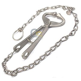 New German Grade Bull Cow Nose Lead with Chain Show Cattle Steel Farm Ranch Veterinary by G.S ONLINE STORE