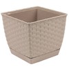 Prosper Plast DRLK250-7529U 25 x 25 x 22 cm "Ratolla"