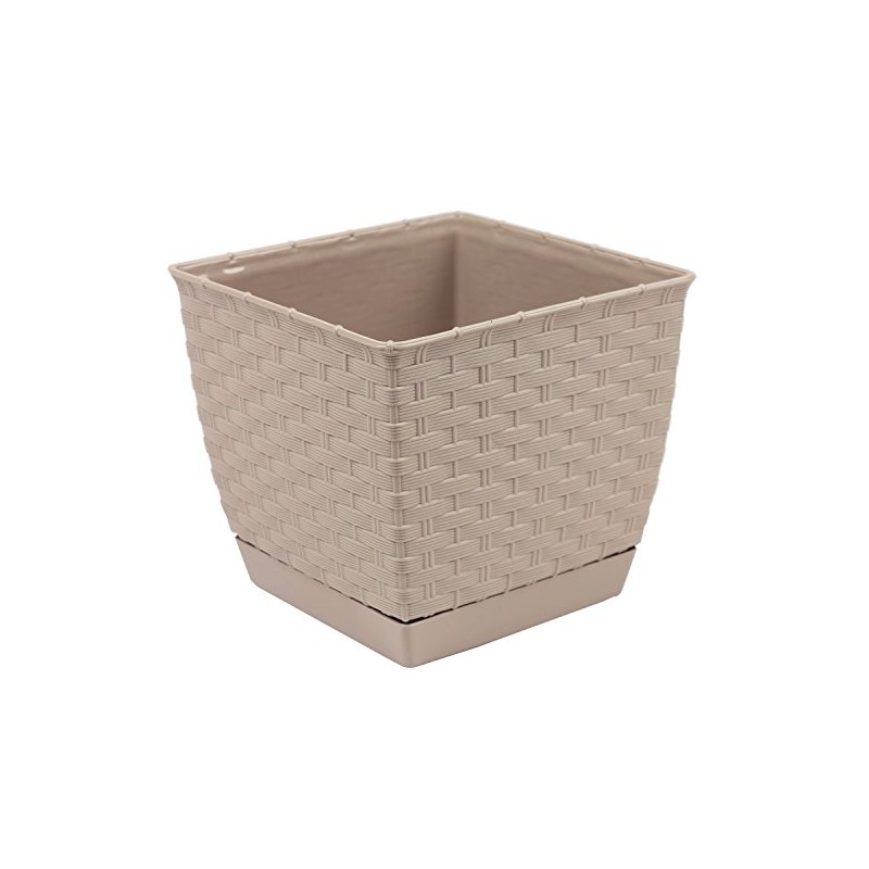 Prosper Plast DRLK250-7529U 25 x 25 x 22 cm "Ratolla"
