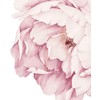 Peony Flowers Wall Sticker - Vintage Pink - by Simple