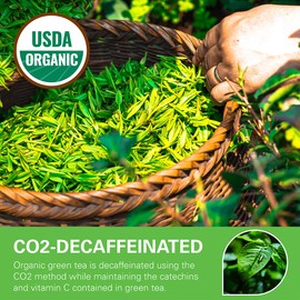 WT WEETEE Organic Decaf Green Tea Bags, USDA Organic Green Tea 100 Count | CO2-Decaffeinated | Super Antioxidant | Resealable Kraft Bag