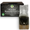 MycoHaus Mushroom All in One Growing Kit with Injection Ports