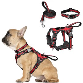 WINSEE Pet Harness Collar and Leash Set, All-in-one Reflective Dog Harness No Pull with Adjustable Buckles for Puppies, Small, Medium, Large, and Extra-Large Dogs (Small, Red)