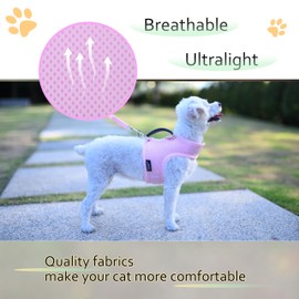 Small Dog Harness and Leash Set Small Pet Harness for Summer, Adjustable Soft Padded Dog Vest with Handle for Poodle, Pomeranian, Chihuahua, Minlature Pinscher Under 19LBS, Solid Pink Mesh Fabric
