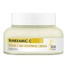 Tenzero Moist Glowing Oil-Free Cream Tranexamic Acid Vitamin C Silk