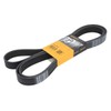 Contitech 8PK2630 Stiée Belt
